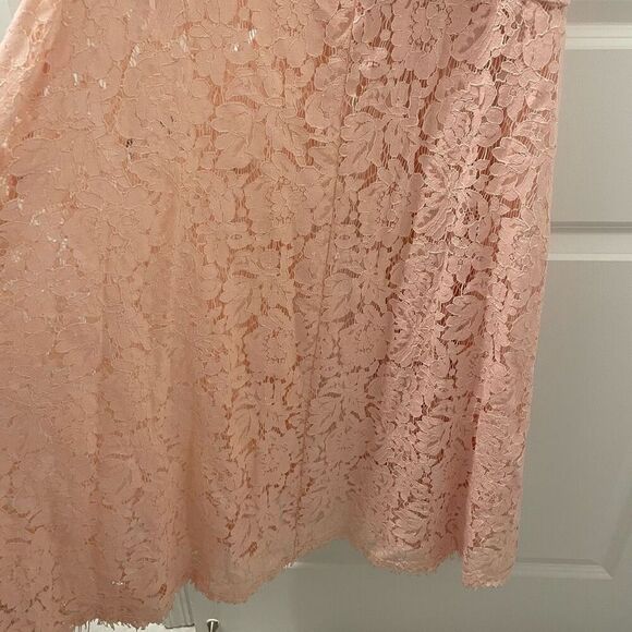 FAME & PARTNERS THE BABE PINK LACE GOWN DRESS sz US 4/ AUS 8 - Picture 6 of 8